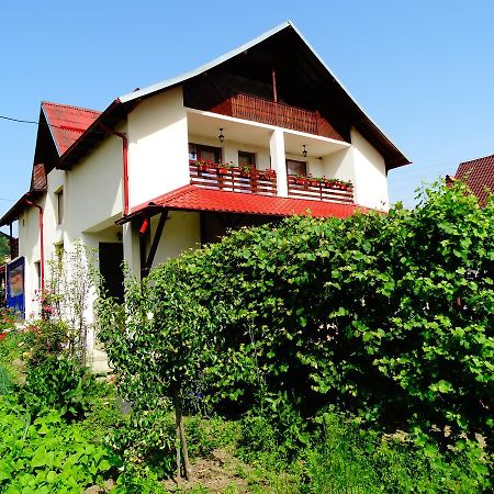 Pensiunea Casa Elena Corbeni Dış mekan fotoğraf