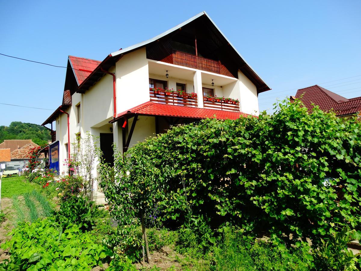 Pensiunea Casa Elena Corbeni Dış mekan fotoğraf